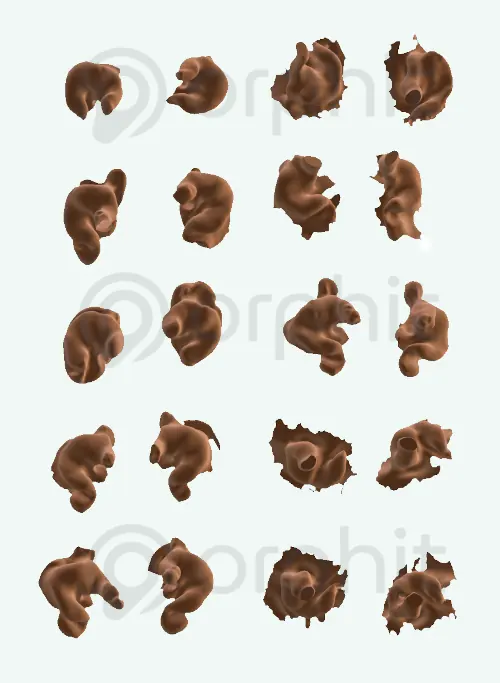 Different ears digitally scanned and displayed