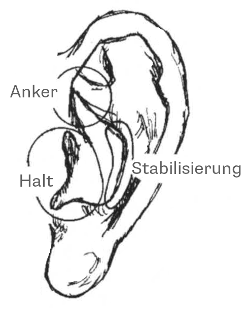 Zeichnung von Ohr mit Tragus, Antihelix, Concha