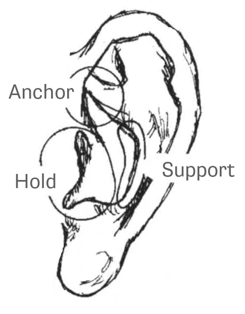 Drawing of ear with tragus, antihelix, concha